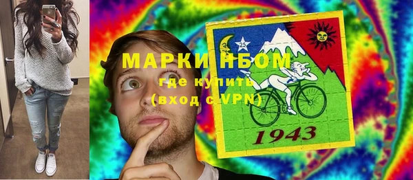 apvp Богданович