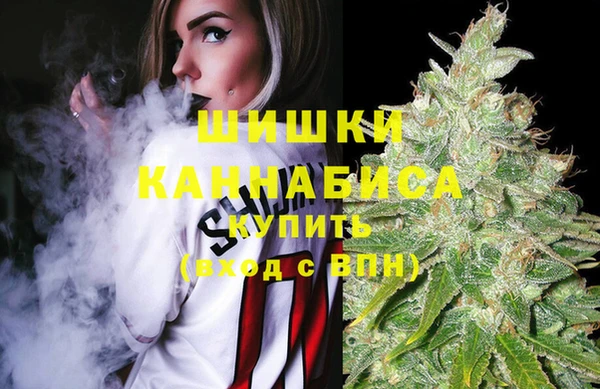 spice Беломорск