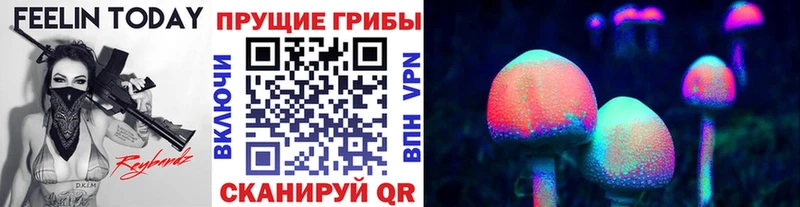 где купить наркоту  Светлый  Галлюциногенные грибы Psilocybine cubensis 